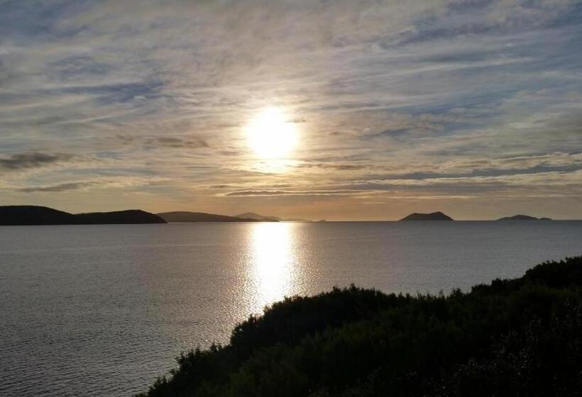 צימר C Est La Vie