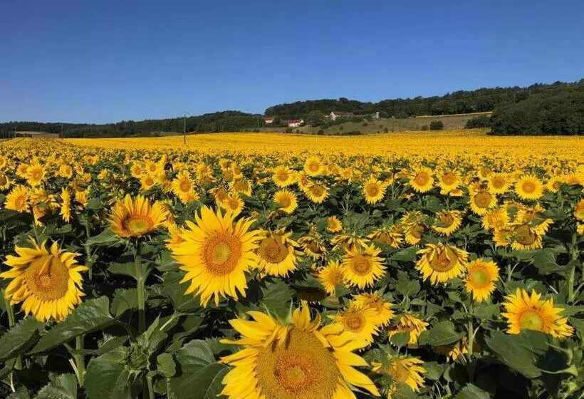 Aamiaismajoitus (B&B) La Cour Des Délices