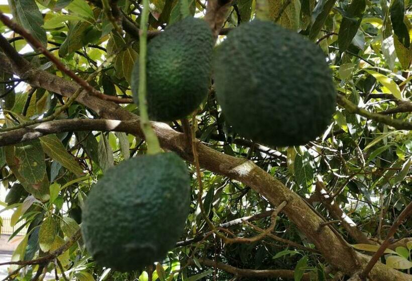 تختخواب و صبحانه Villa Santini