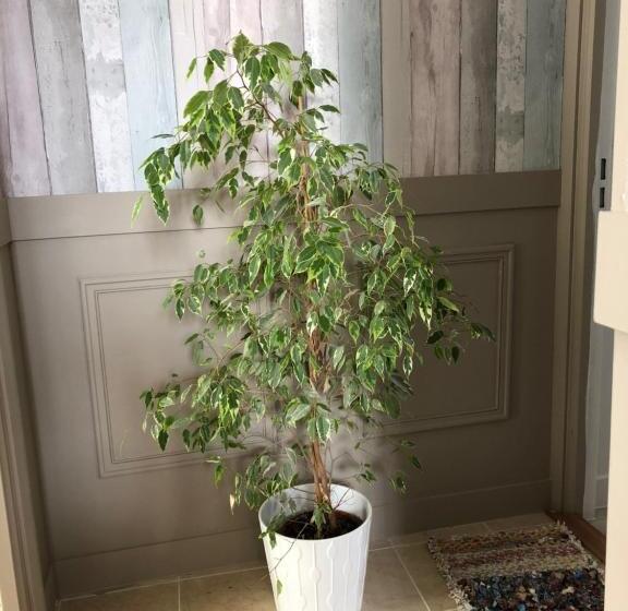 بنسيون Casa Sm