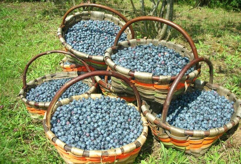 膳宿费 Domaine Xixtaberri