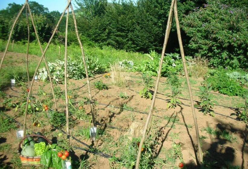 Пансион Domaine Xixtaberri