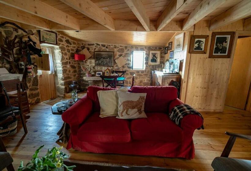 پانسیون Old House