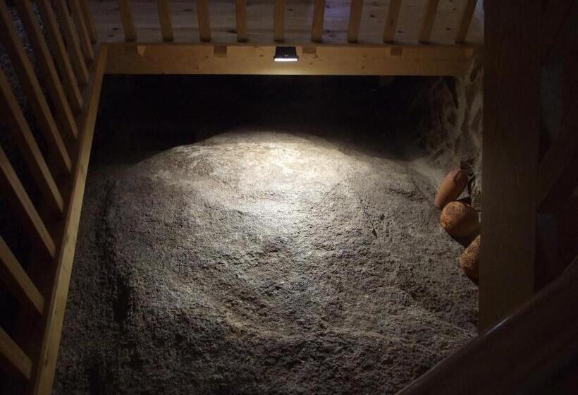 پانسیون Old House