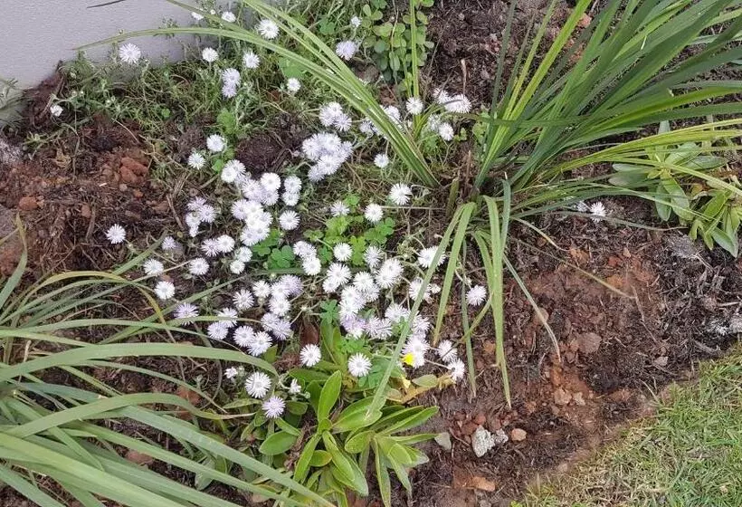 Majatalo Worcester The Karoo Guest Room