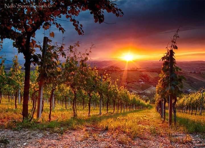 민박 Casa Vacanze La Quiete