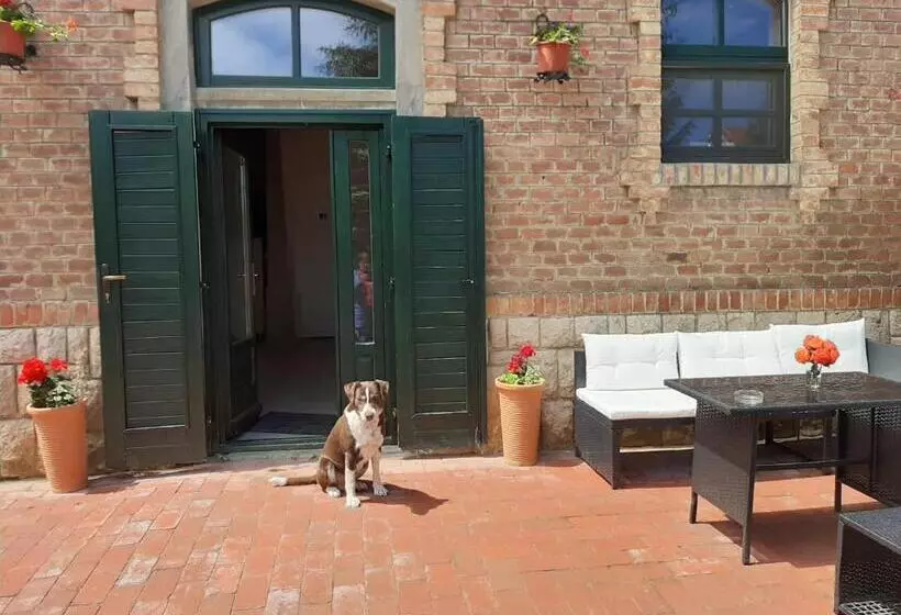 Aamiaismajoitus (B&B) Natúra Panzió&apartmanház