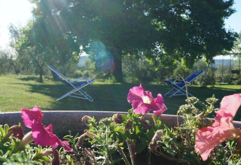 בית מלון כפרי Agriturismo Poggio San Pietro