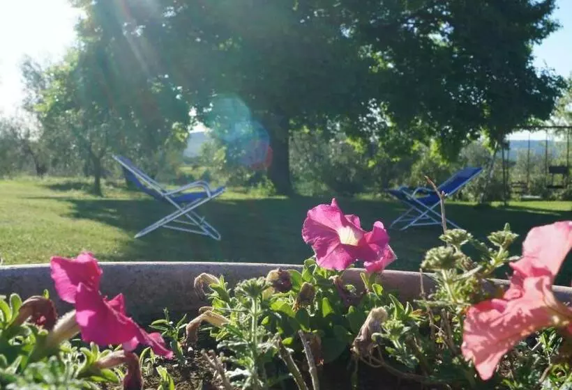 ホテル Agriturismo Poggio San Pietro