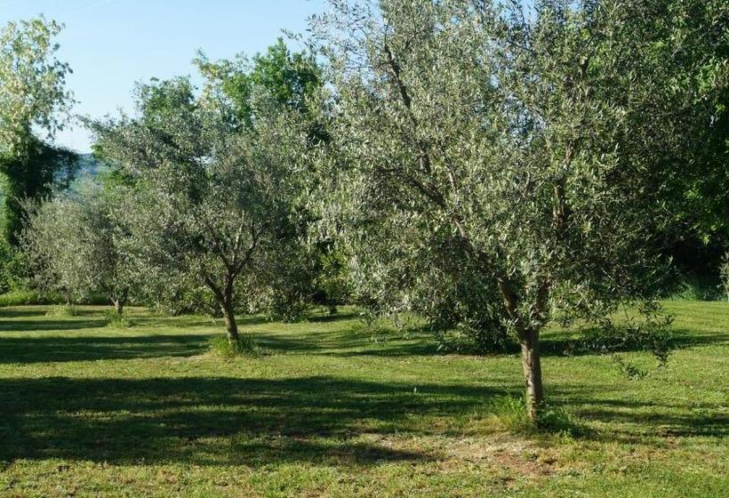 בית מלון כפרי Agriturismo Poggio San Pietro