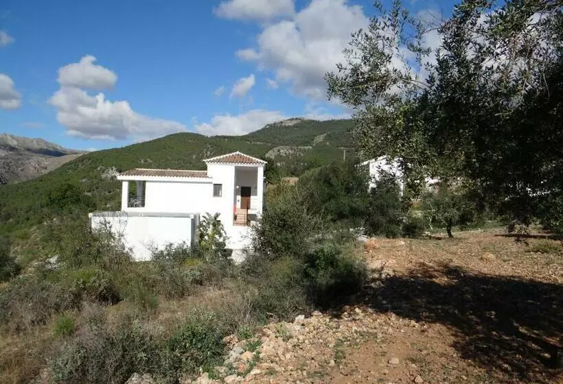 ホテル Casa Arts Guest Rooms