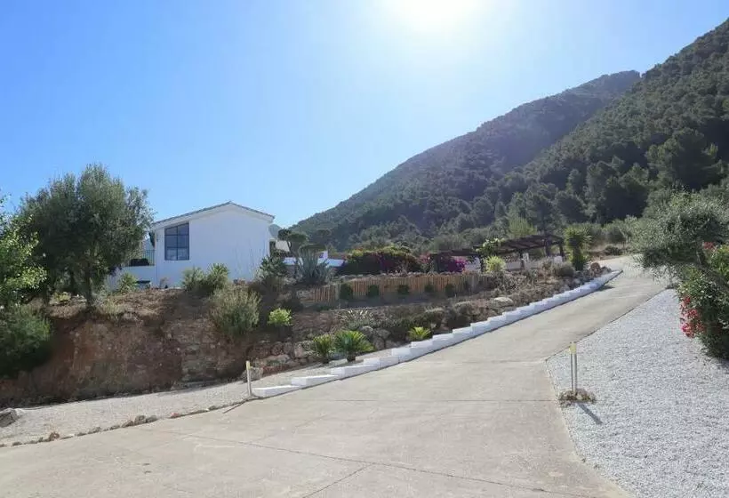 ホテル Casa Arts Guest Rooms