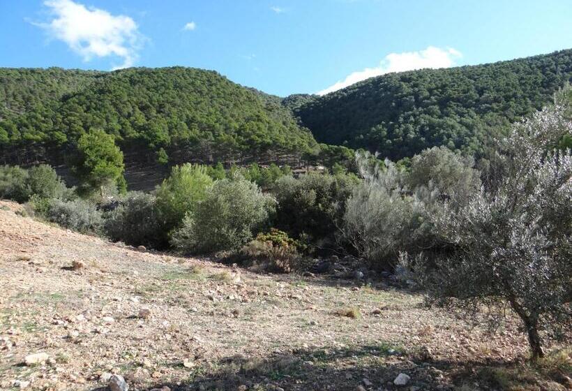 酒店 Casa Arts Guest Rooms