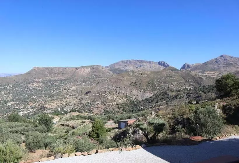 ホテル Casa Arts Guest Rooms