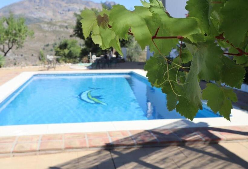 酒店 Casa Arts Guest Rooms