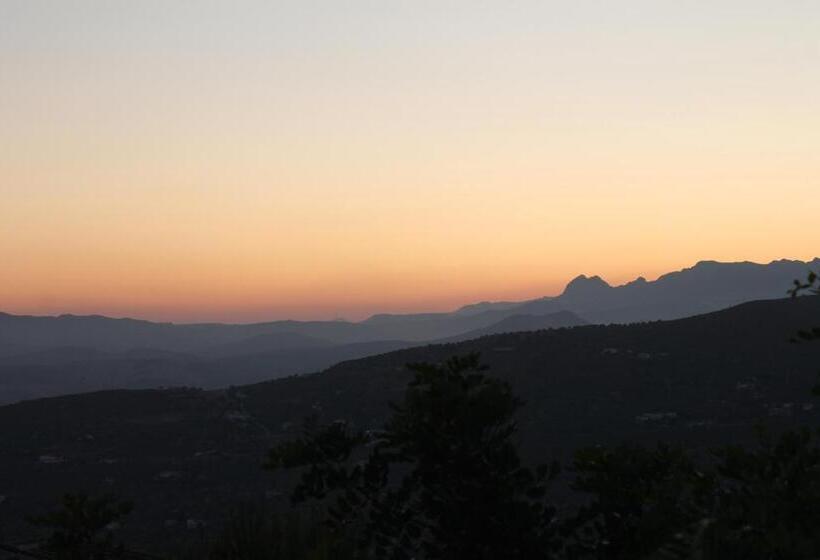 酒店 Casa Arts Guest Rooms