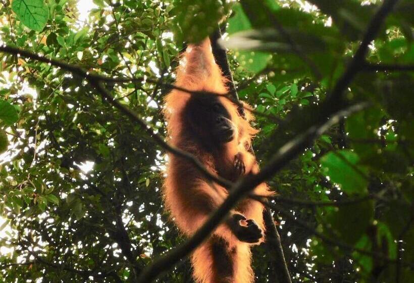 هتل Sahnan Guest House