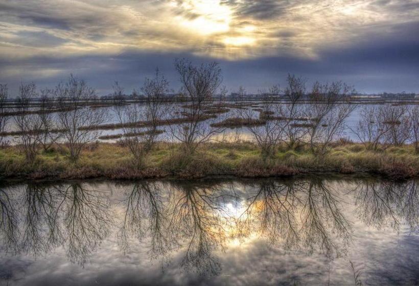 פנסיון La Brigata Apartments Suite Room