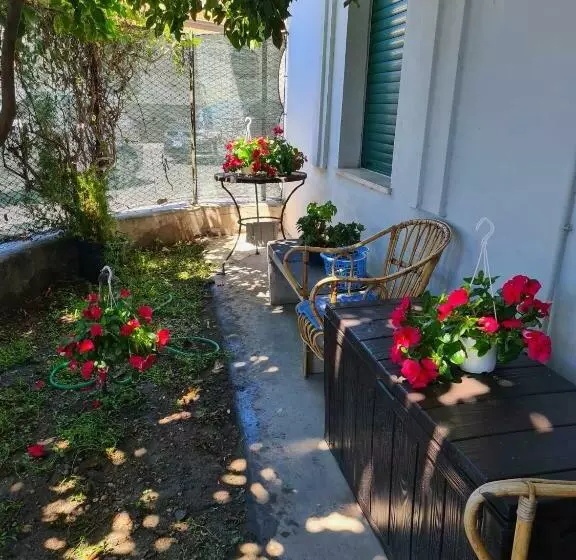 پانسیون La Casa Di Alvy