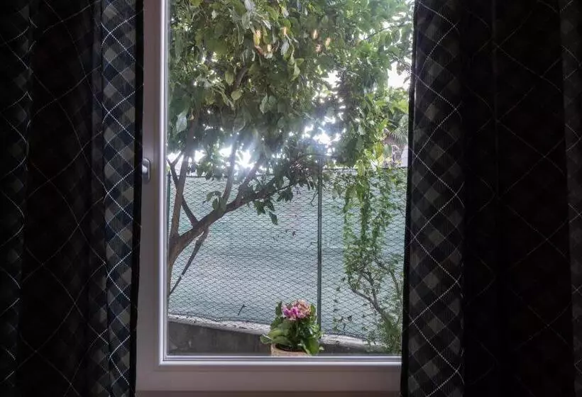 پانسیون La Casa Di Alvy