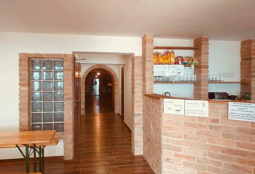 ペンション Penzion šedivý