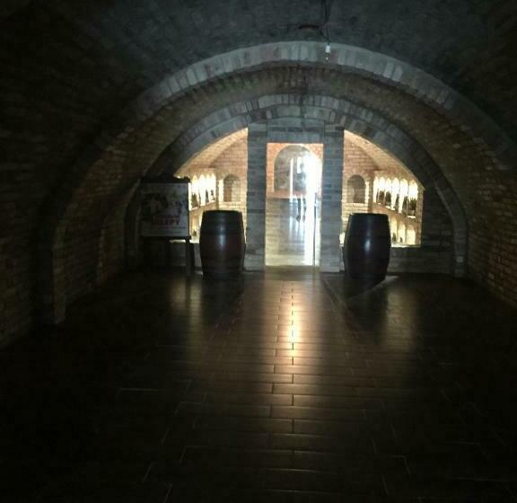 ペンション Penzion šedivý