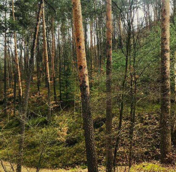 펜션 Penzion Nový Mlýn