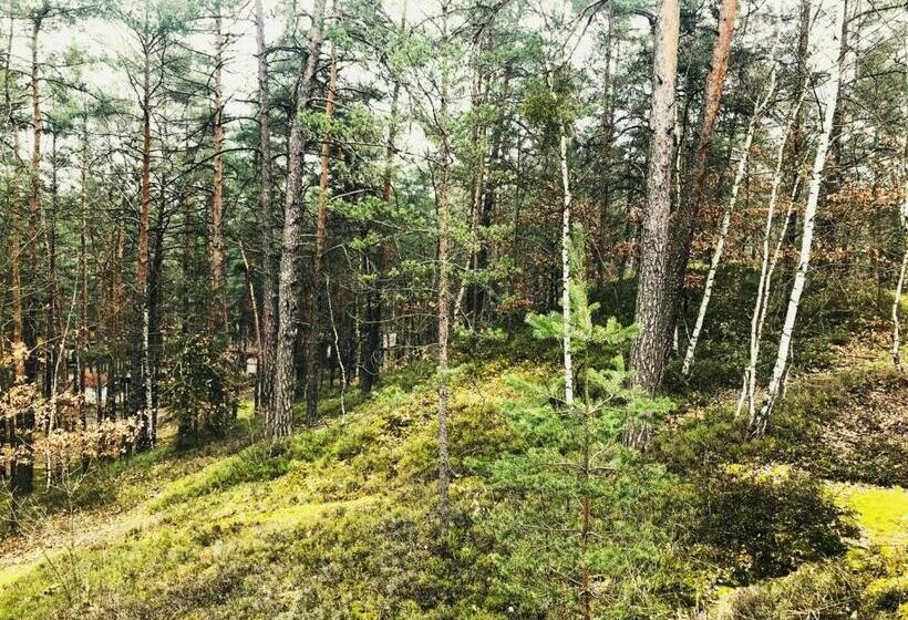 펜션 Penzion Nový Mlýn