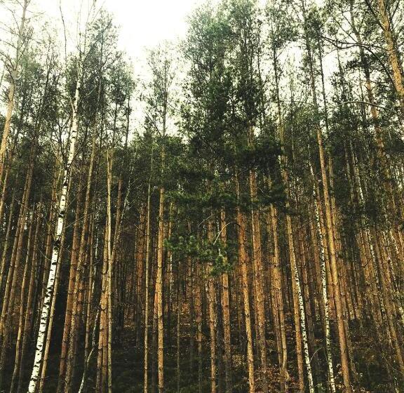 펜션 Penzion Nový Mlýn