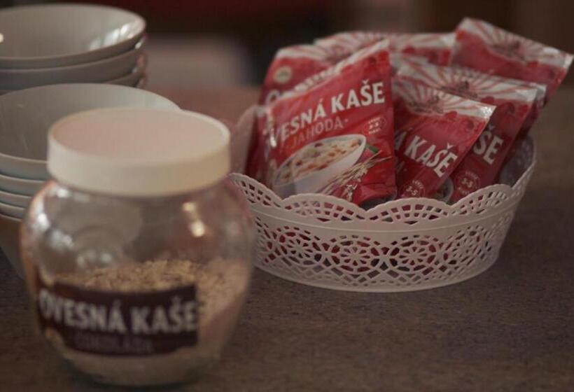 펜션 Penzion Nový Mlýn