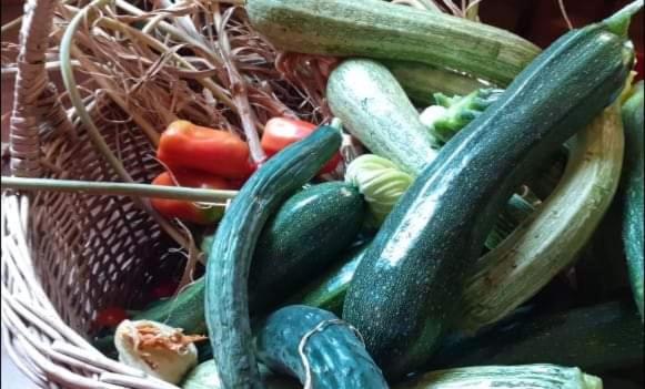 B&b La Vecchia Quercia Home Restaurant