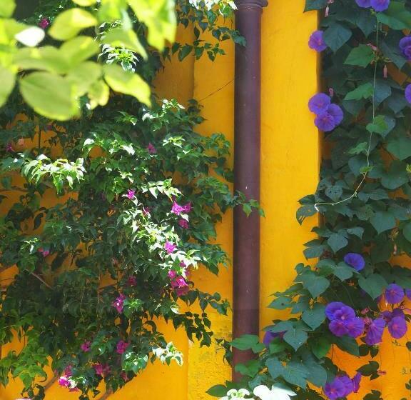 تختخواب و صبحانه La Maison Jaune