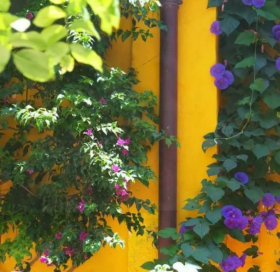 Aamiaismajoitus (B&B) La Maison Jaune