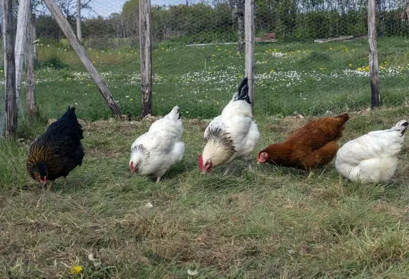 Aamiaismajoitus (B&B) Le Pré De Luceau