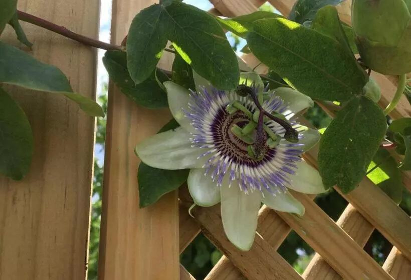 Finca Las Hierbas B&b