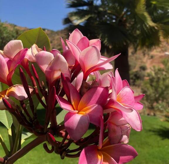 Finca Las Hierbas B&b