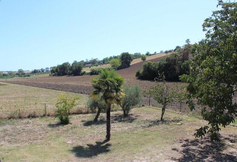 Pensión Archi Rooms