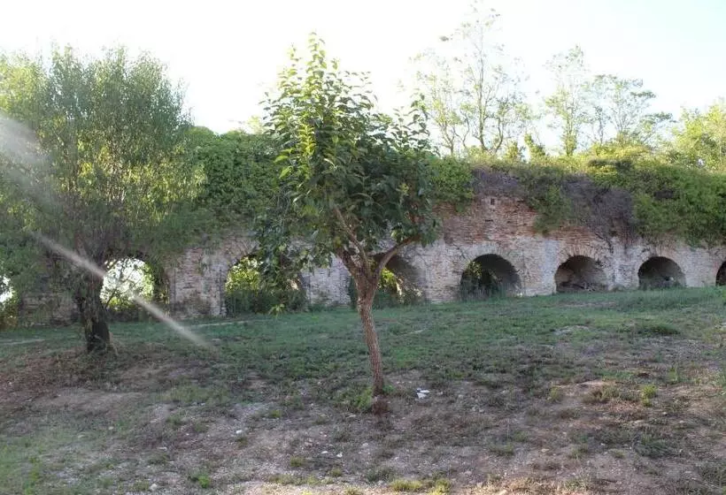 پانسیون Archi Rooms