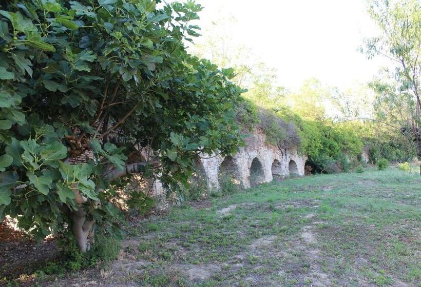 Pensión Archi Rooms