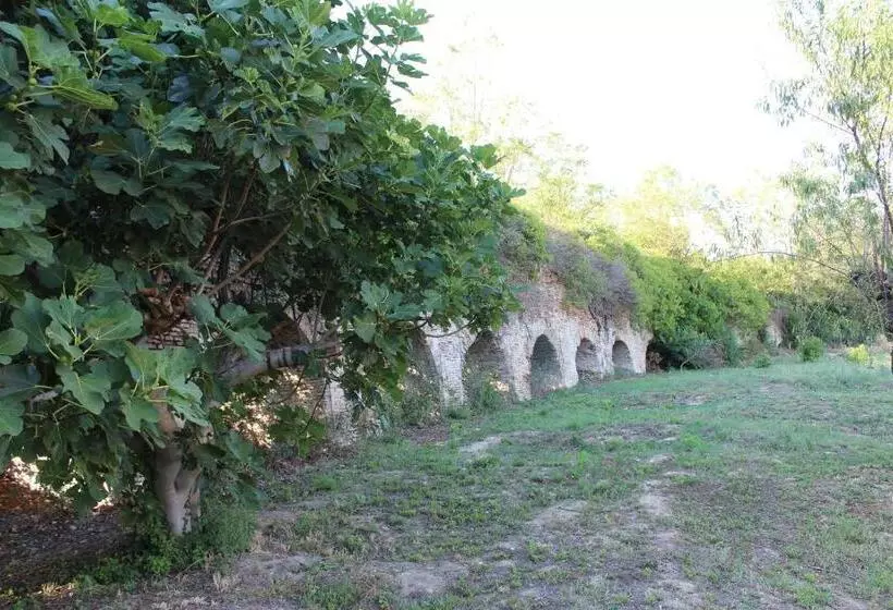پانسیون Archi Rooms