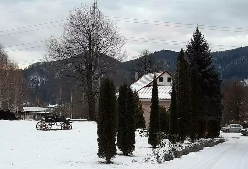 پانسیون Cabana Scaricica