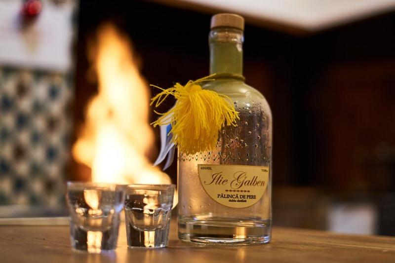 ペンション Chalet & Spa Maestrul Si Margareta