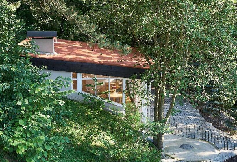 ペンション Chalet & Spa Maestrul Si Margareta