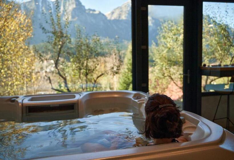 ペンション Chalet & Spa Maestrul Si Margareta