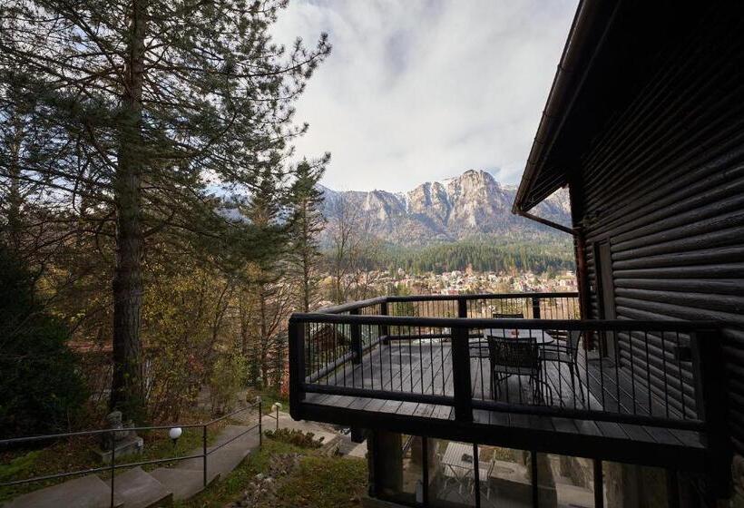 ペンション Chalet & Spa Maestrul Si Margareta