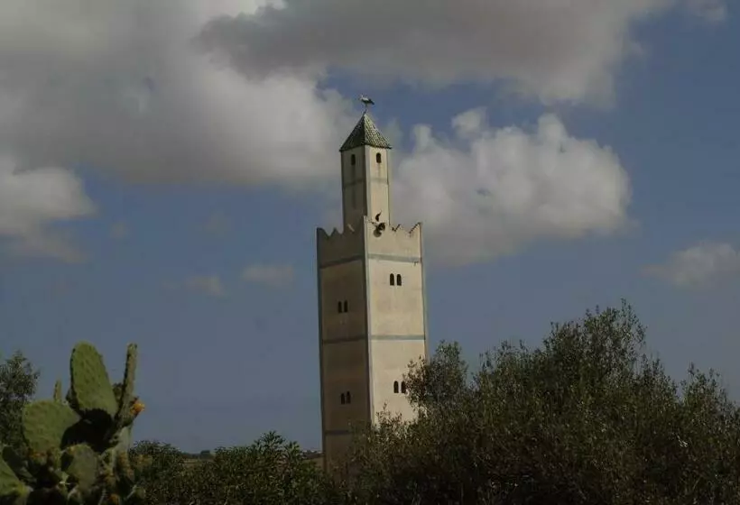 پانسیون Darmimouna