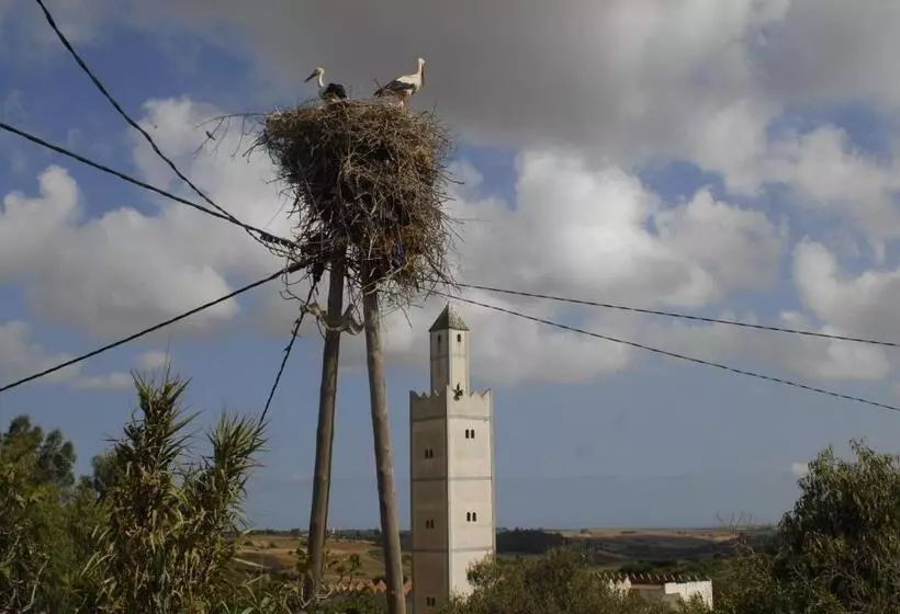پانسیون Darmimouna
