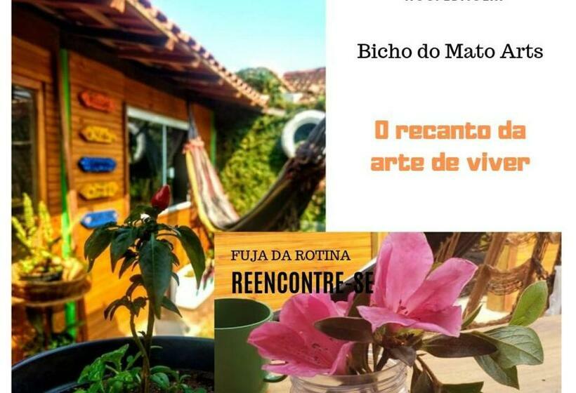 פנסיון Hospedagem Bicho Do Mato Arts