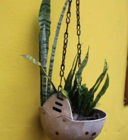 ペンション Hospedagem Bicho Do Mato Arts