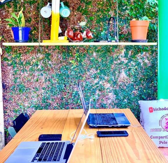 פנסיון Hospedagem Bicho Do Mato Arts